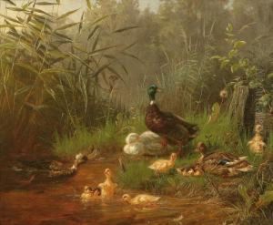 Papere E Anatroccoli In Uno Stagno by Carl Jutz