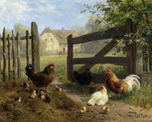 Poultry And Rooster Before A Fence In The Meadow.