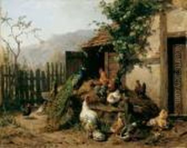 Der Huhnerhof. Auf Und Vor Einem Misthaufen Huhner, Enten, Ein Pfau Und Ein Truthahn. - view 1
