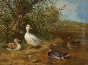 Enten Am Ufer Eines
Teiches. by Carl Jutz