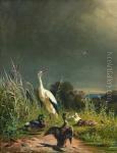 Storch Und Enten - view 1