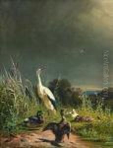 Storch Und Enten by Carl Jutz