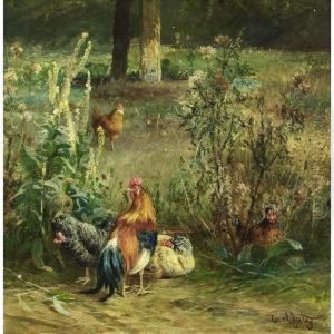 Chicken In A Yard