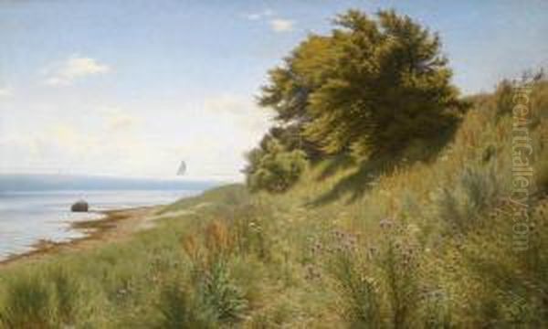 A Summer's Day At The Sea - view 1