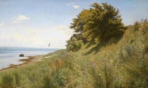 A Summer's Day At The Sea