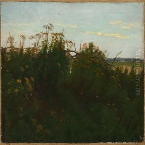 Bushes