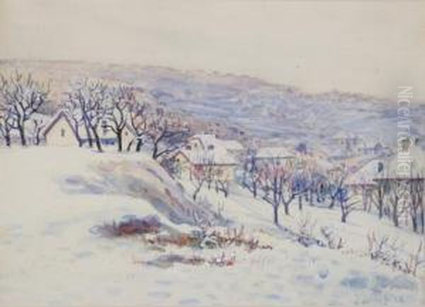 Nagybanya Telen - view 1