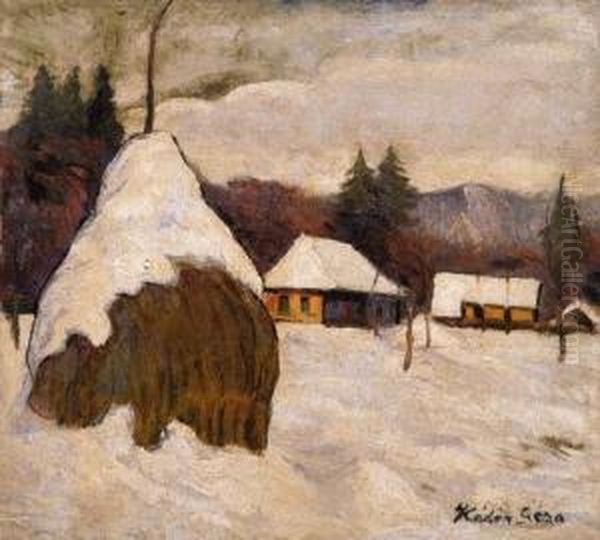 Snow - Covered Landscape In Nagybanya - view 1