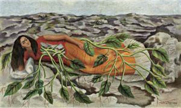 Roots - view 1