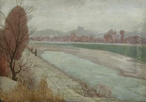 Grauer Wintertag An Der Donau - view 1