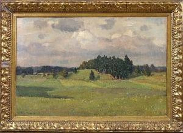 Grune Landschaft - view 1