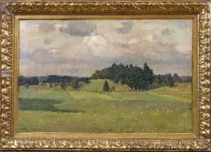 Grune Landschaft