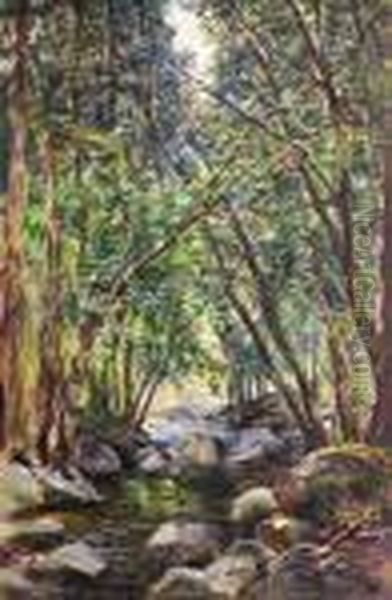"waldbach" - view 1