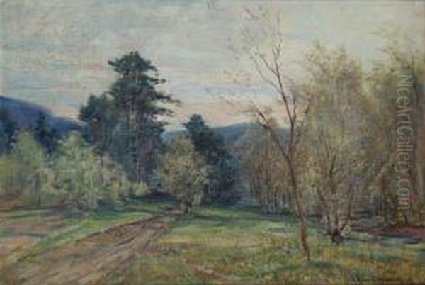 Landscape - view 1