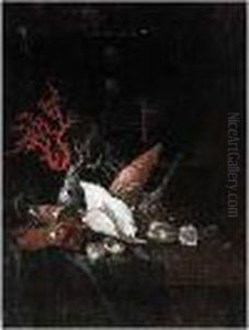 Still Life Of Coral And Sea
Shells Together With A Jewelry Casket Upon A Partly Draped Stone Ledge by Willem Kalf