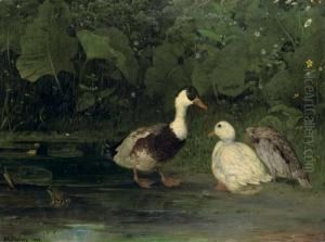 Three Ducks On A Pond by Anders Kallenberg