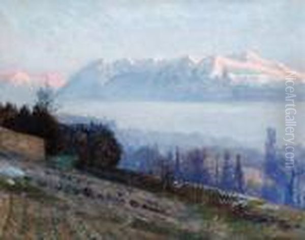 Utsikt Mot Alperna, Lausanne - view 1