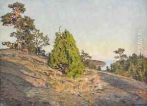 Skargardslandskap Med Solbelysta Tallar by Gottfrid Kallstenius