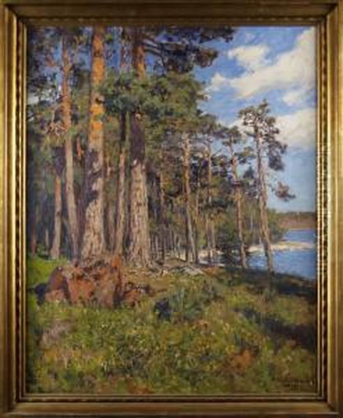 Skargardslandskap Fran Tjust - view 1