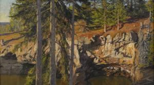 Nyberget - Sommarlandskap Med Granar