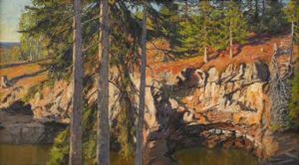 Nyberget - Sommarlandskap Med Tallar - view 1