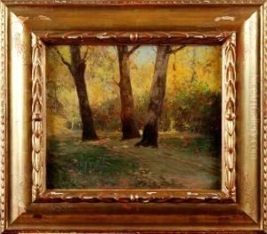 Bokskog by Gottfrid Kallstenius