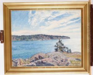 Solbelyst Skargardsvik by Gottfrid Kallstenius