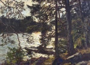 Koskimetsassa.