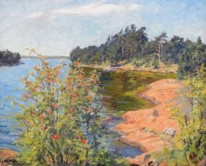 Strandparti Med Nyponbuske - Solig Sommardag