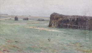 Slattlandskap Med Hovolmar - Motiv Fran Finistere