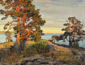 Solbelysta Tallar I Tjust Skargard by Gottfrid Kallstenius