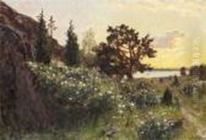 Sommarkvall