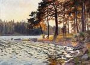 Skargardsvik I Kvallssol by Gottfrid Kallstenius