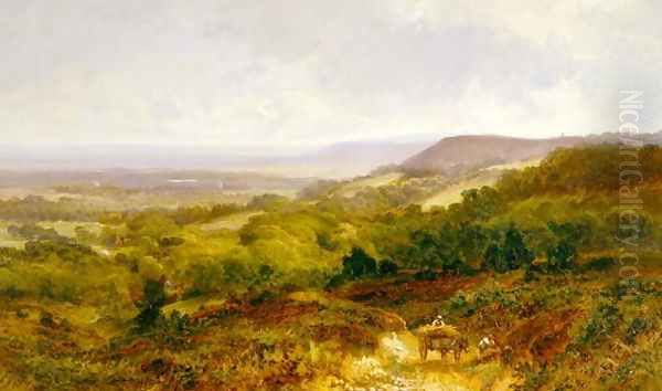 The Weald of Surrey - view 1