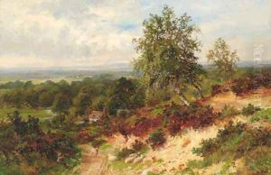 Holmbury Hill, Surrey by Walter Wallor Caffyn