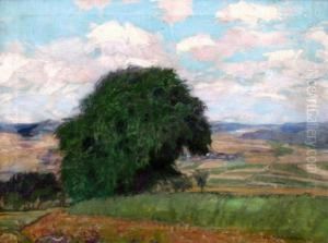 Letni Krajina by Alois Kalvoda