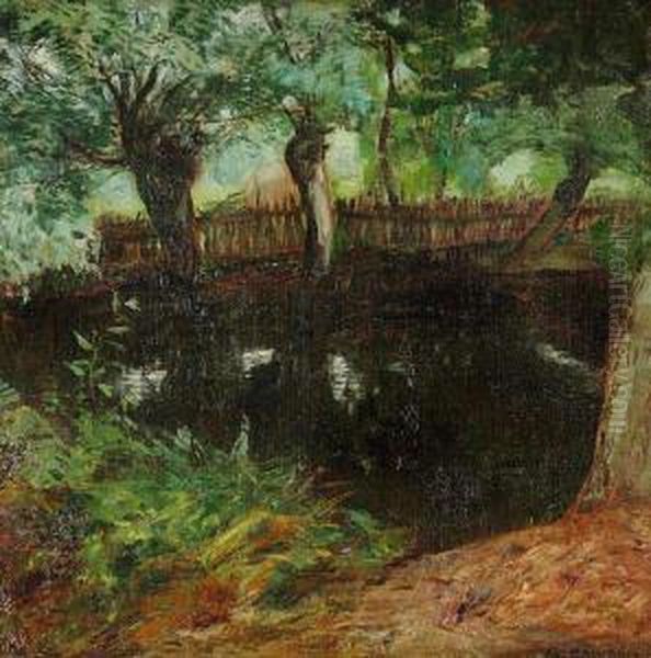 A Pond Beneath Trees - view 1