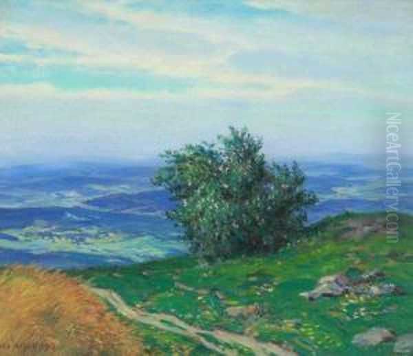 A Landscape With A Blossoming Shrub - view 1