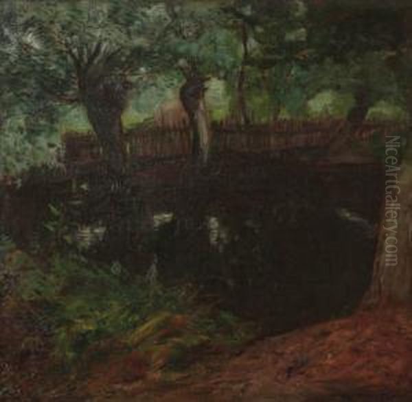 Pool Under Trees - view 1