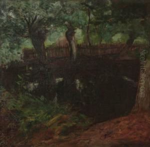 Pool Under Trees