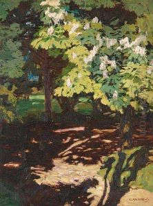 Horse Chestnuts In Blossom