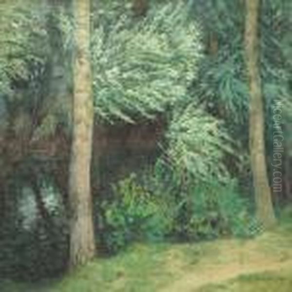 Lesni Tun - view 1