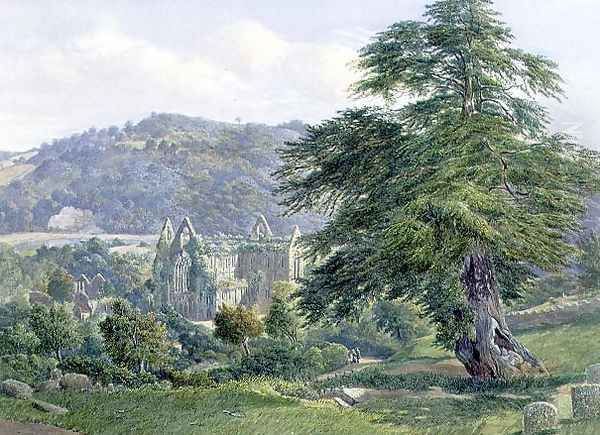 Tintern Abbey with the Wye Beyond - view 1