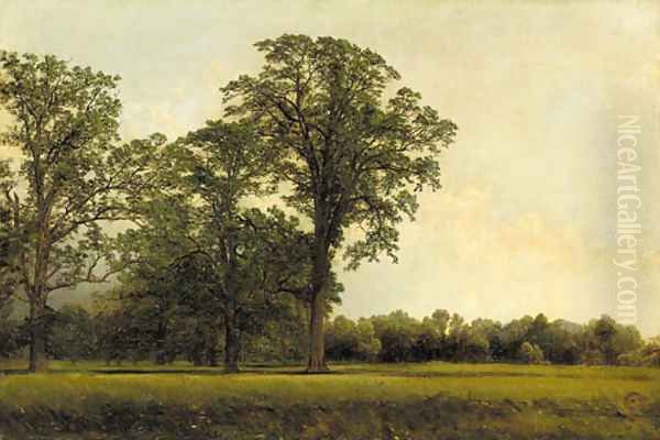 The Spring Field - view 1