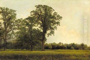 The Spring Field by John William Casilear