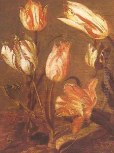 Tulip Field (detail) 1638 by Jacob Gerritsz. Cuyp