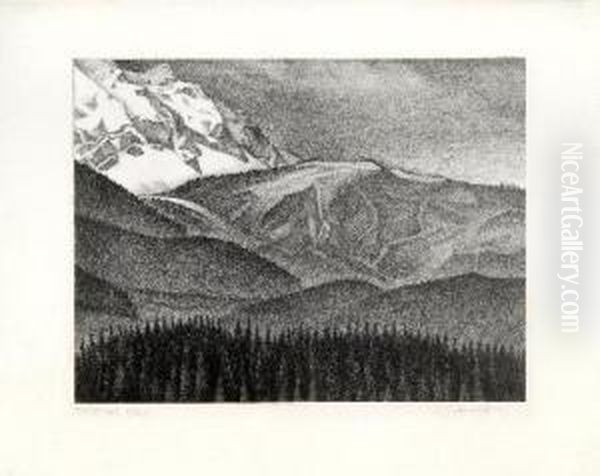 Ehrwalder Kopf - view 1