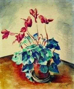 Cyclamen