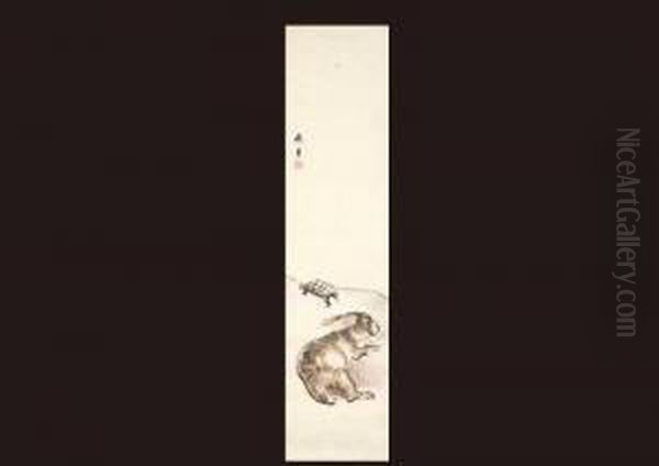 Rabbit And Turtle - view 1