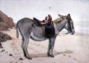 Studies of Animals (2) by Stephen Briggs Carlil